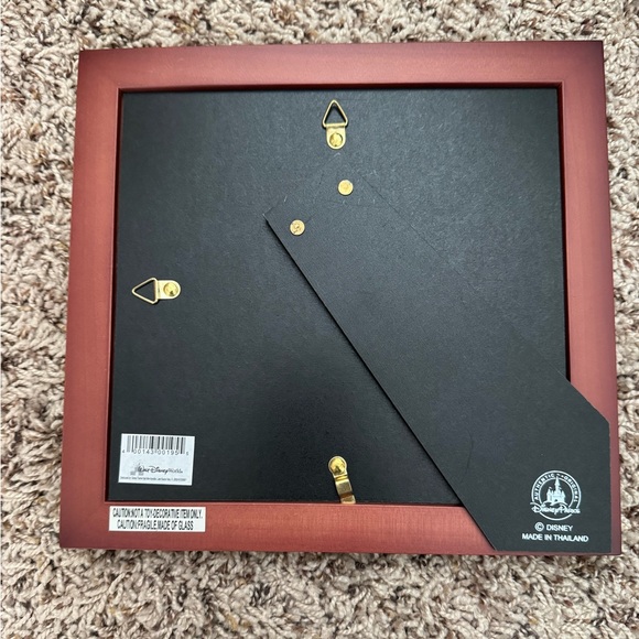 Disney Red-Brown Collage Picture Frame from the parks - Picture 2 of 5